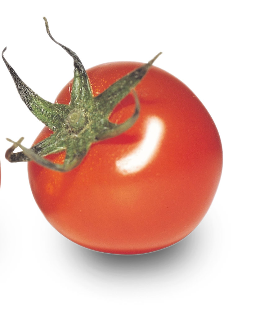Tomatoes